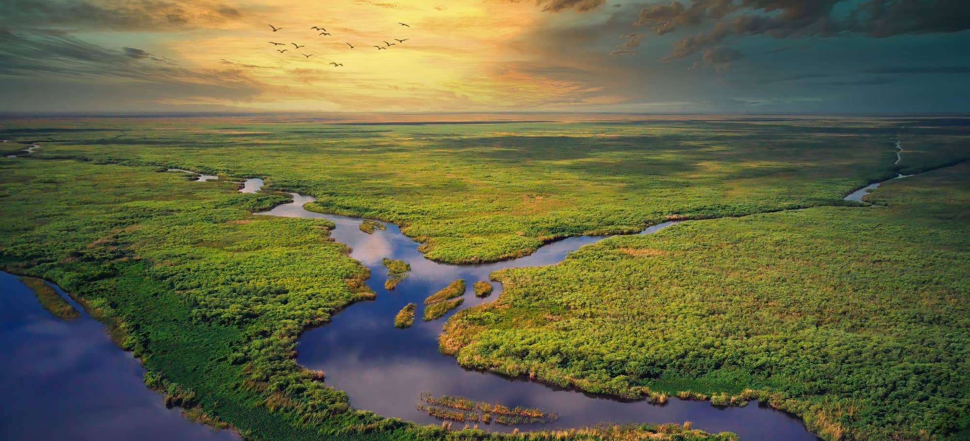 Aerial view of a winding river through Everglades sawgrass at sunset, with birds in flight